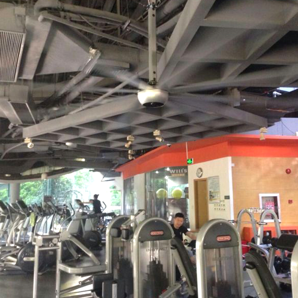 Indoor Sports Center Ceiling Fans & Gym Ceiling Fans ...