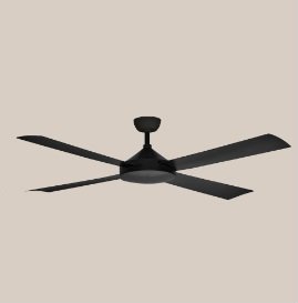 Ceiling Fans