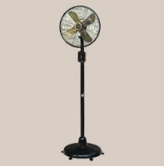 Pedestal Fans