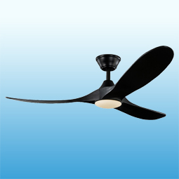 Ceiling Fans