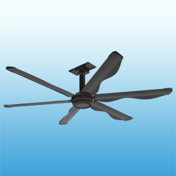 Large Ceiling Fans